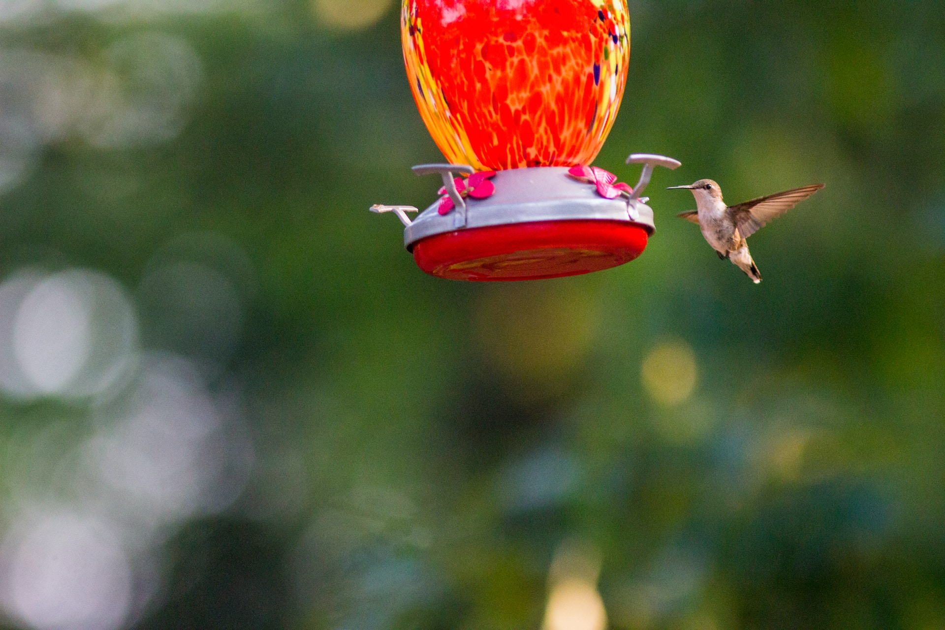 colorful hummingbird feeder