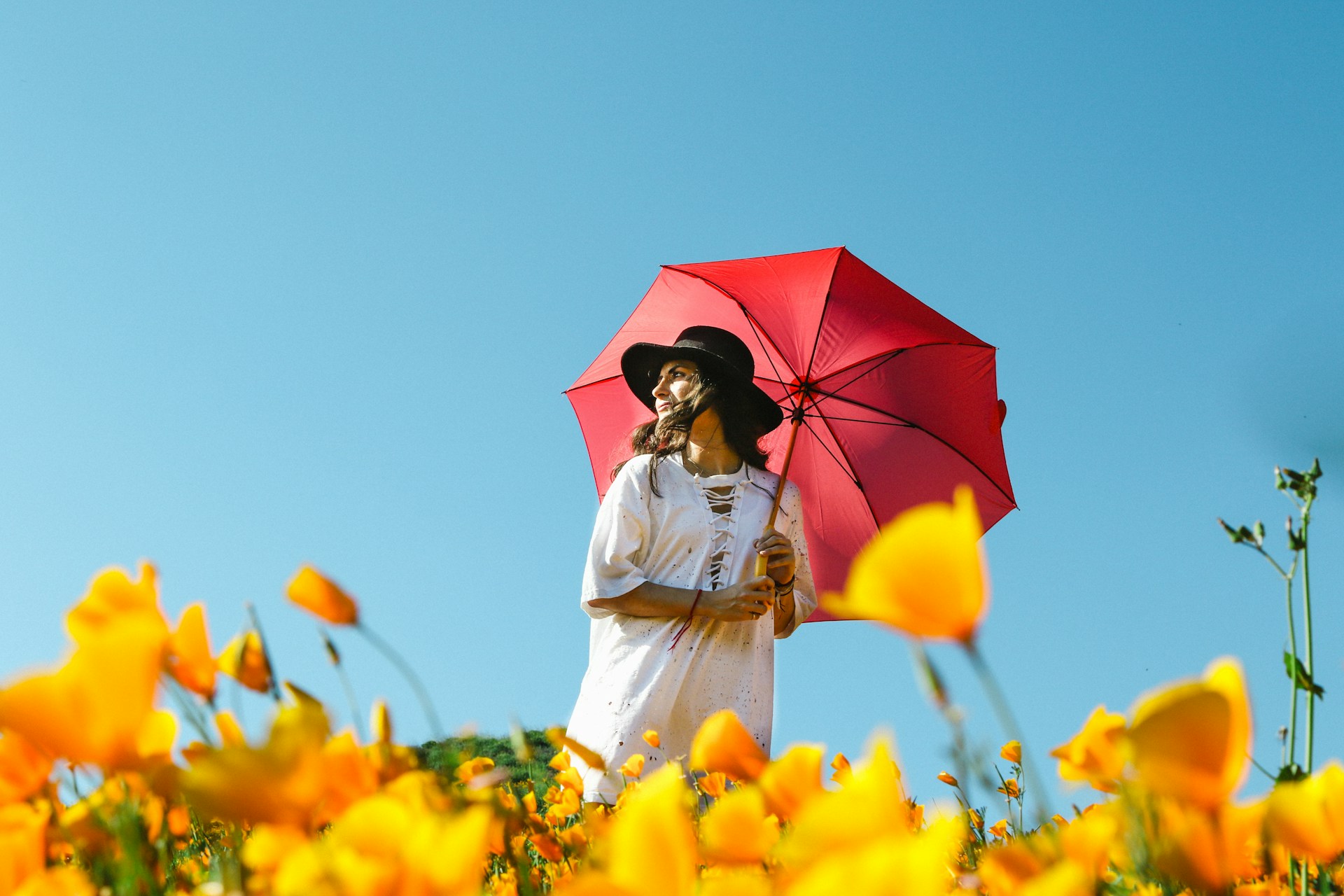 Texas flowers